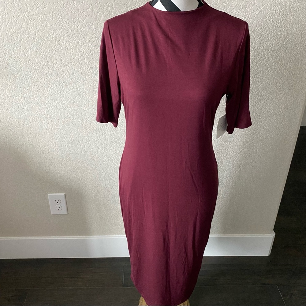 Stella Luce || fitted mock neck burgundy dress